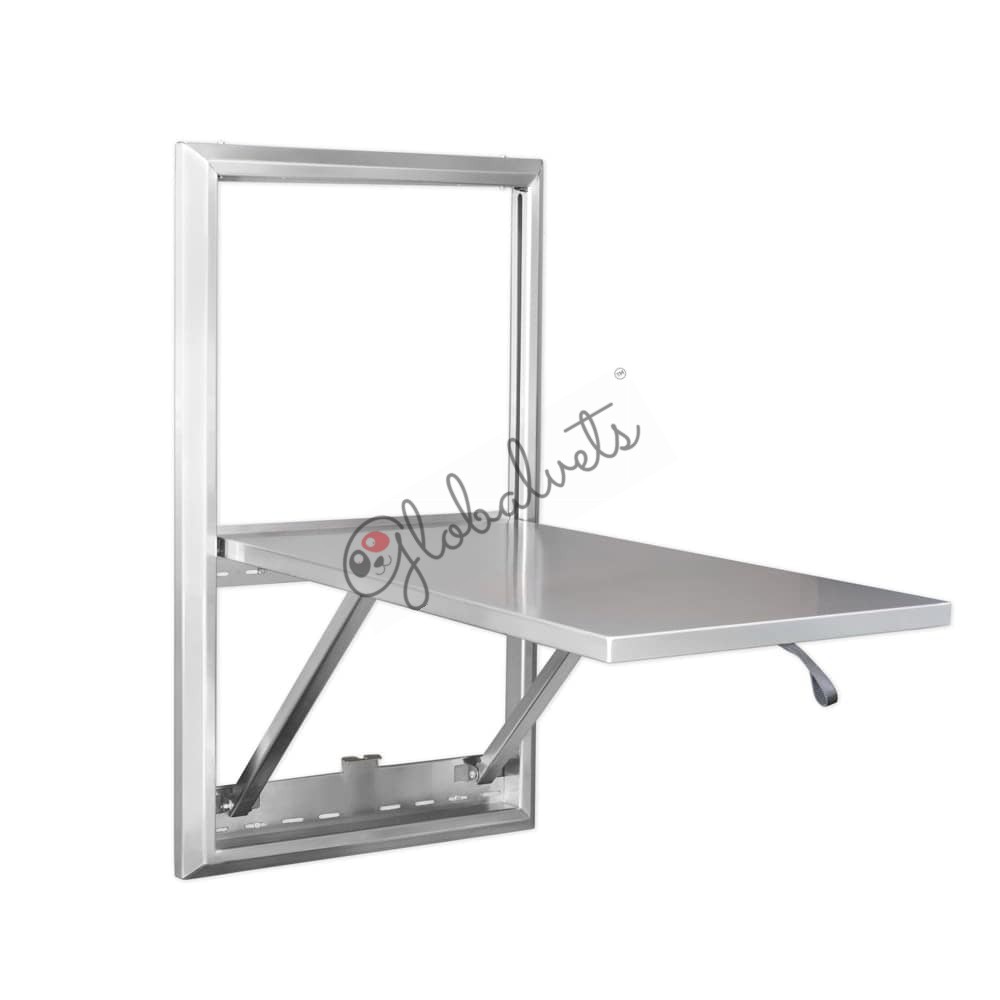 Folding Wall-Mount Exam Table